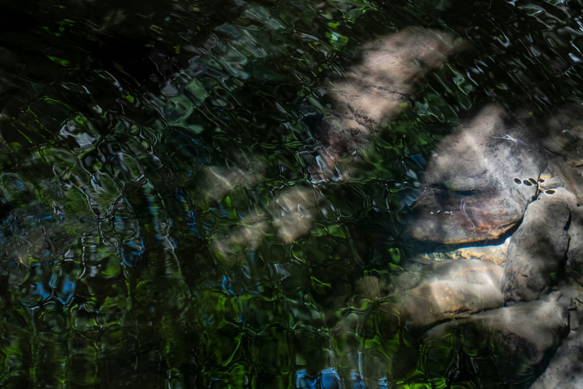 Superfície de água escura a reflectir folhagem verde e pedras claras no leito do rio.